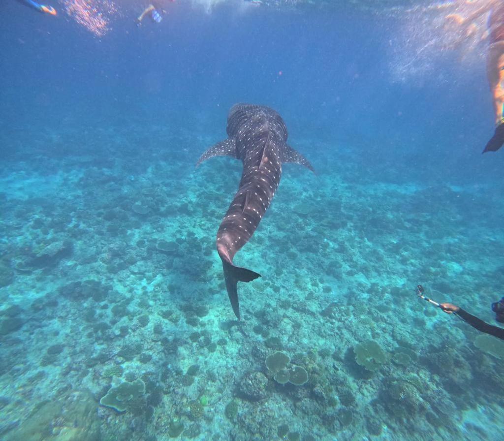 Raalhu Fonu Maldives Hotel Mahibadhoo Luaran gambar