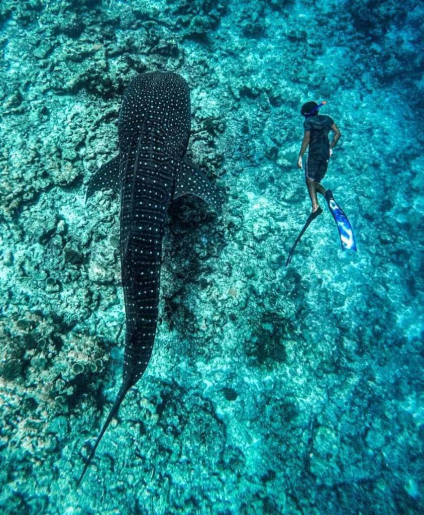 Raalhu Fonu Maldives Hotel Mahibadhoo Luaran gambar